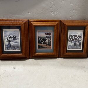 Vintage Dairy Cow Art Wood Framed Matted Set Of 3 1980s Country House Decor